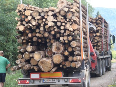 Fuhre_Faserholz_P9160085_75.jpg