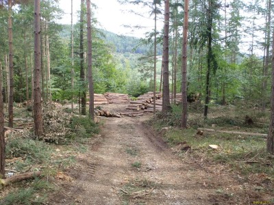 Einschlag_Juhn_P9150079_75.jpg