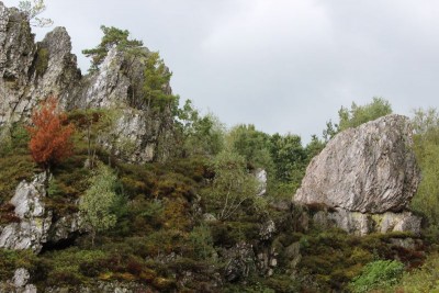 Bildla Nummä 005.jpg