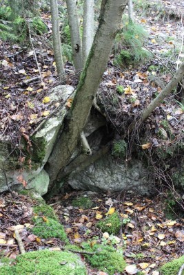 Bildla Nummä 011.jpg