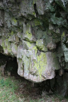 Bildla Nummä 012.jpg