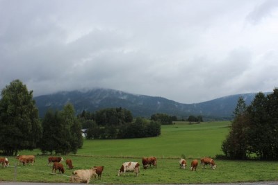 Bildla Nummä 016.jpg