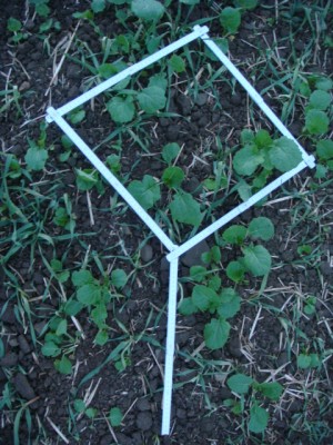 Grupperraps mit Stroh im Häckslerbereich.JPG