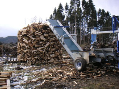 Bild 011 (Medium).jpg