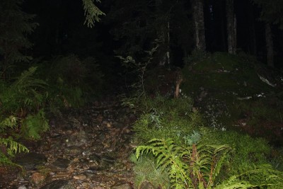 Bildla Nummä 005.jpg