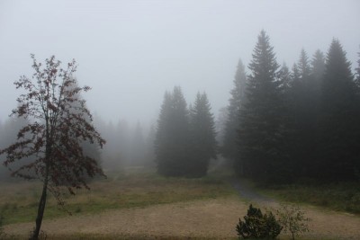 Bildla Nummä 012.jpg