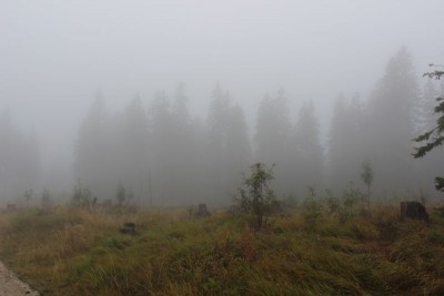 Bildla Nummä 015.jpg