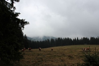 Bildla Nummä 018.jpg