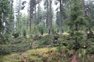 Bildla Nummä 021.jpg