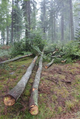 Bildla Nummä 022.jpg