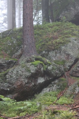 Bildla Nummä 027.jpg