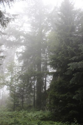 Bildla Nummä 028.jpg