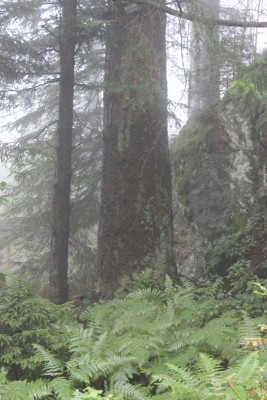 Bildla Nummä 029.jpg