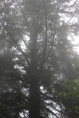 Bildla Nummä 030.jpg