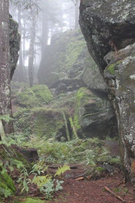 Bildla Nummä 032.jpg