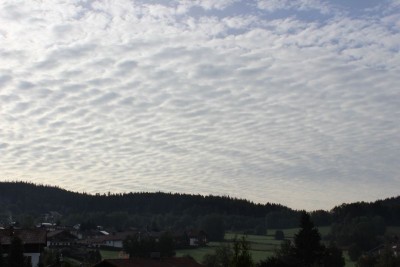 Bildla Nummä 001.jpg