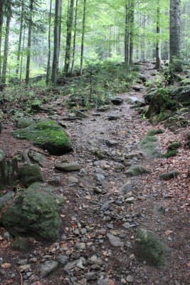 Bildla Nummä 009.jpg