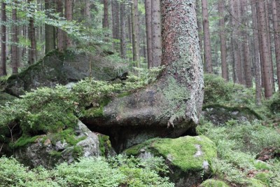 Bildla Nummä 011.jpg