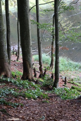 Bildla Nummä 013.jpg