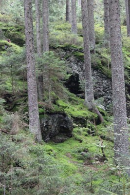 Bildla Nummä 015.jpg