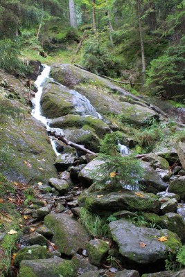 Bildla Nummä 016.jpg