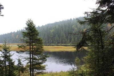 Bildla Nummä 017.jpg