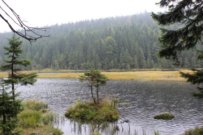 Bildla Nummä 019.jpg