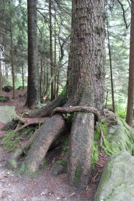 Bildla Nummä 020.jpg