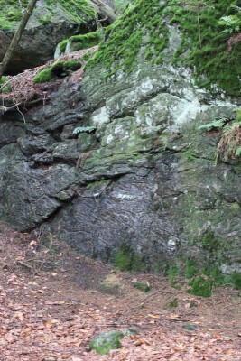 Bildla Nummä 021.jpg