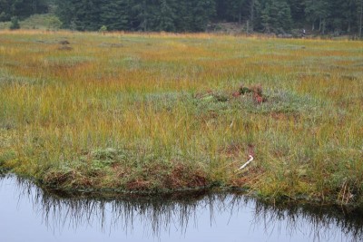 Bildla Nummä 023.jpg