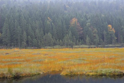 Bildla Nummä 024.jpg