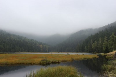 Bildla Nummä 025.jpg