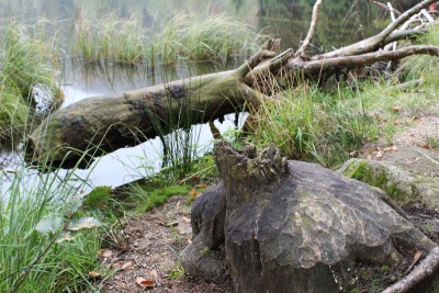 Bildla Nummä 026.jpg