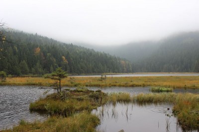 Bildla Nummä 027.jpg