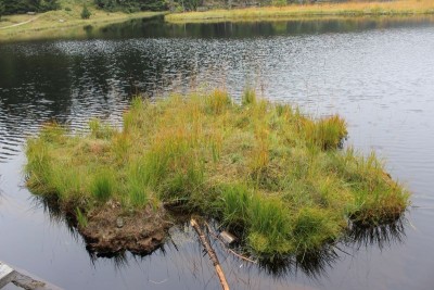 Bildla Nummä 028.jpg