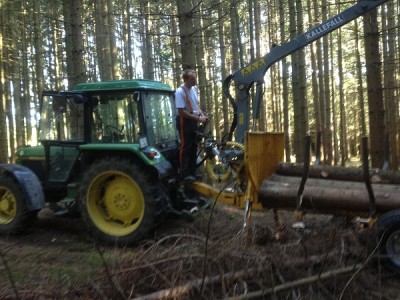 Wald2.jpg