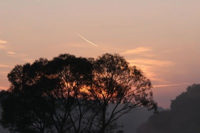 Bildla Nummä 028.jpg