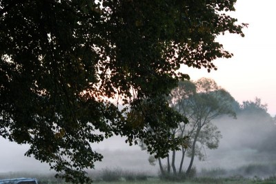 Bildla Nummä 029.jpg