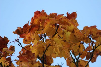 Bildla Nummä 033.jpg