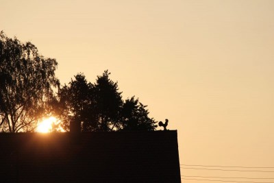 Bildla Nummä 048.jpg