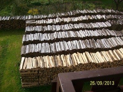 Holz 1.jpg