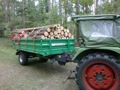 Wald.jpg