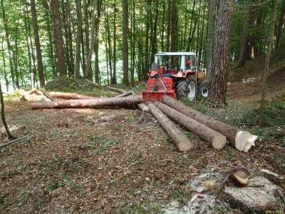 Blochfuhre_PA040151_75.JPG