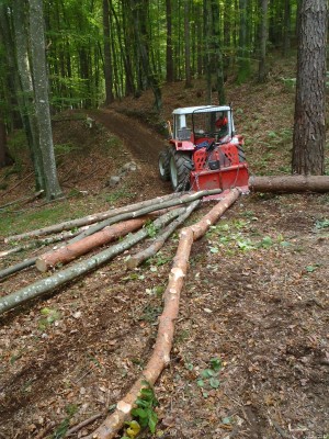 Faserholzfuhre_PA040153_75.JPG