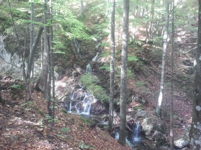 2013-10-03 10.36.02.jpg