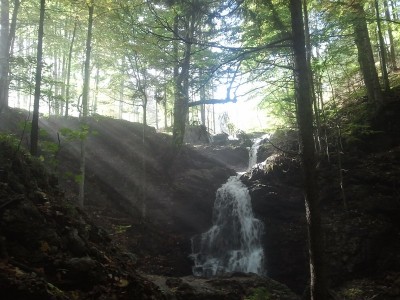 2013-10-03 10.36.53 (2).jpg