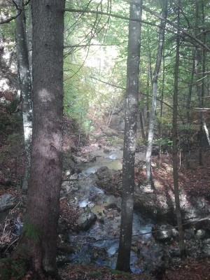 2013-10-03 10.37.29.jpg