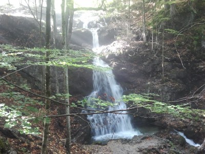 2013-10-03 10.38.26.jpg