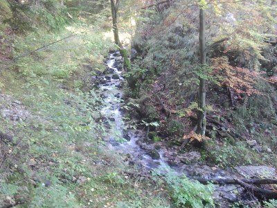 2013-10-03 10.56.38.jpg