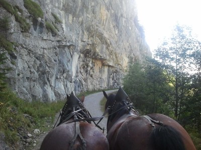 2013-10-03 14.47.14.jpg